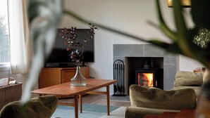 A living room with a fireplace, a television, and a plant.