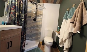 Une salle de bain avec douche, toilettes et porte-serviettes.