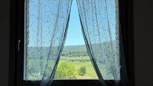 Una finestra con tende leggere, vista su un paesaggio verde e cielo sereno.