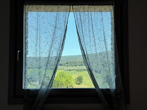 Ett fönster med tunna, genomskinliga gardiner, utsikt över ett grönskande landskap och en klar himmel.