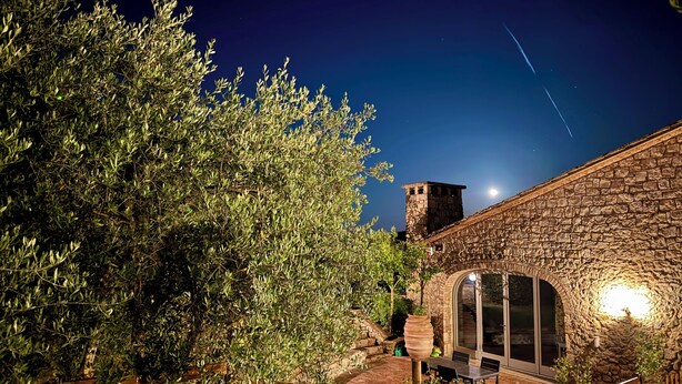 Un edificio in pietra con un albero grande di fronte, una scalinata e una torre sullo sfondo.