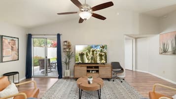 TV