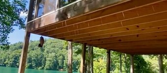 Norris Lake Front Rentals: Cat-Coll Cottage
Lovely 2 bedroom w/private dock