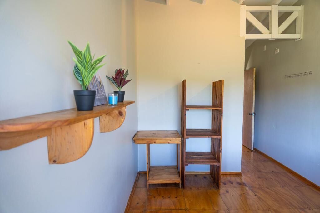 Un coin aménagé avec une étagère en bois où sont disposées des plantes en pot, une petite table en bois et une bibliothèque en bois.