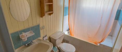 Une salle de bain avec des toilettes, un lavabo et un rideau de douche.