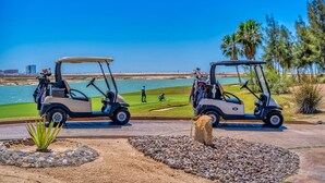 Zwei Golfcarts auf einem Weg, im Hintergrund ein Strand und Palmen.