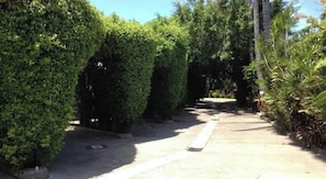 A pathway lined with neatly trimmed hedges and palm trees, leading to a building entrance. - Boutique Parador Diamante (Acapulco)