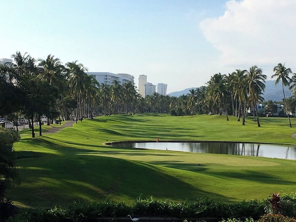 A golf course with a pond, palm trees, and buildings in the background. - Boutique Parador Diamante (Acapulco)