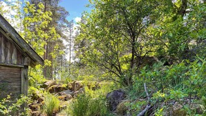 A rustic cabin surrounded by dense forest and rocky terrain. - 5 Person Holiday Home in Kristdala (Kristdala)