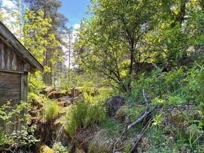 A rustic cabin surrounded by dense forest and rocky terrain. - 5 Person Holiday Home in Kristdala (Kristdala)