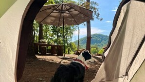 A tent with a view of a dog standing outside, an umbrella, and a natural landscape. - Mountain view - Marvelous campground in Columbus perfect for your next adventure (Columbus)
