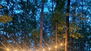 Ein bewaldetes Gebiet mit Außenbestuhlung und Lichterketten.