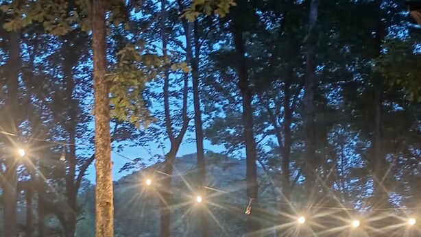 Ein bewaldetes Gebiet mit Lichterketten und einem roten Stuhl.