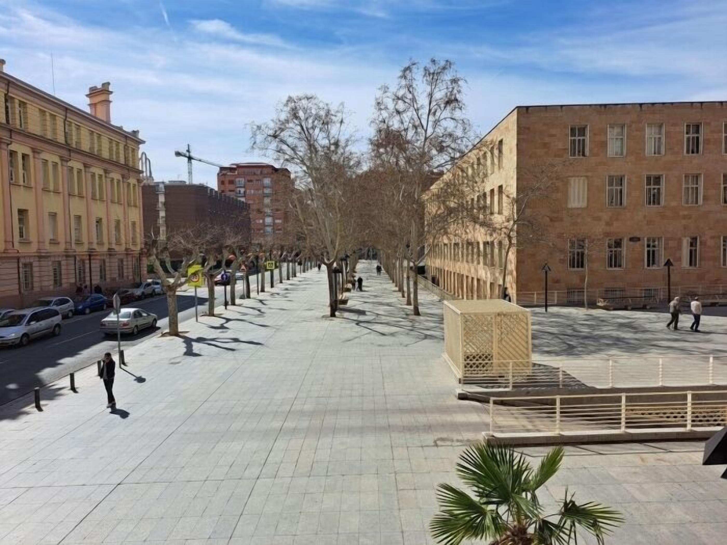 Un amplio paseo peatonal bordeado de árboles y bancos, flanqueado por edificios con grandes ventanales y un cielo despejado.