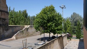 Un patio con una escalera, un árbol y un farol.