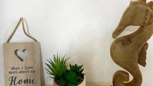 A wooden seahorse sculpture, a hanging sign with a heart-shaped cutout, and a potted plant. - El Rincón del Marqués by El Rincon (Logroño)