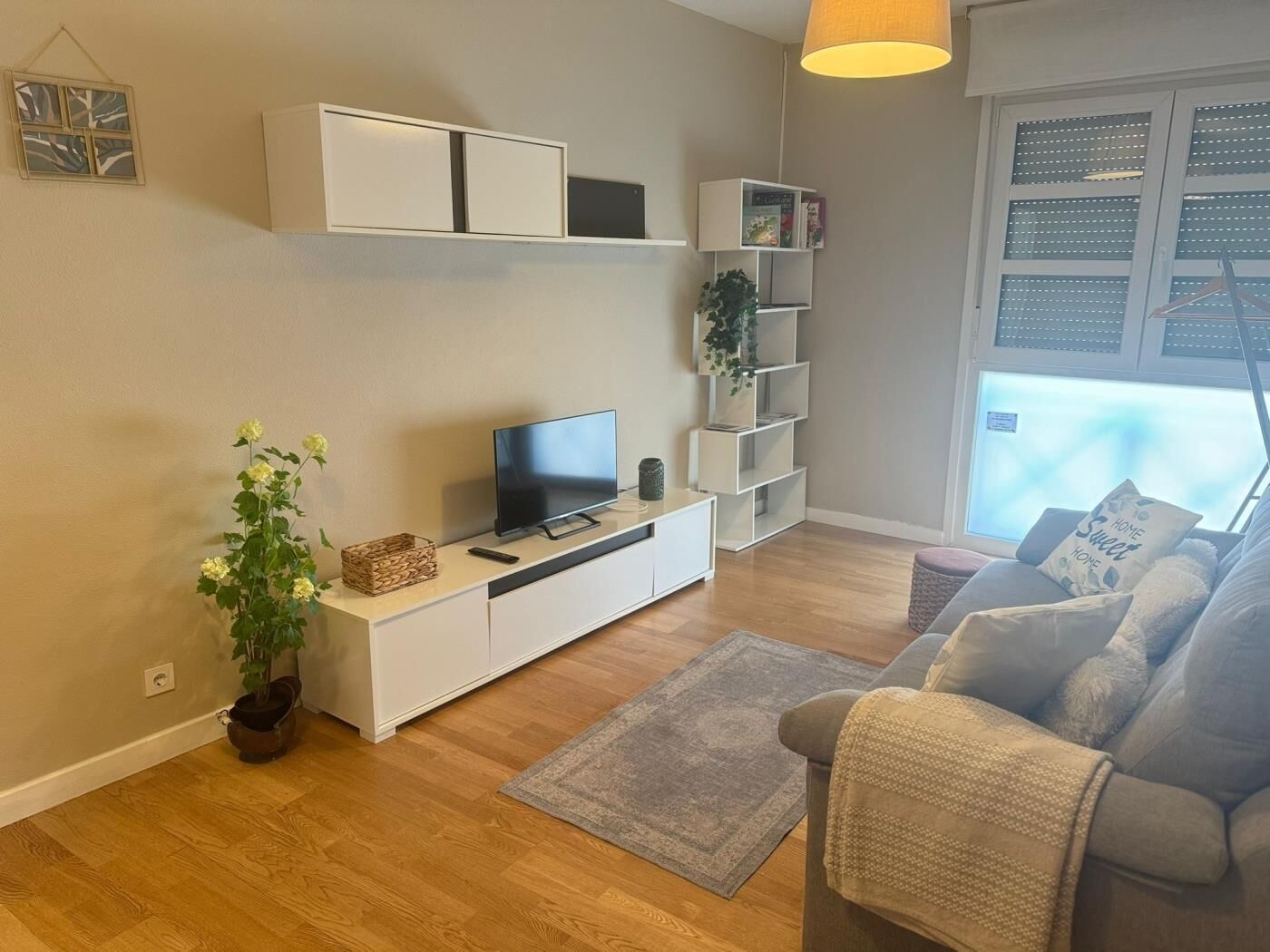 TV