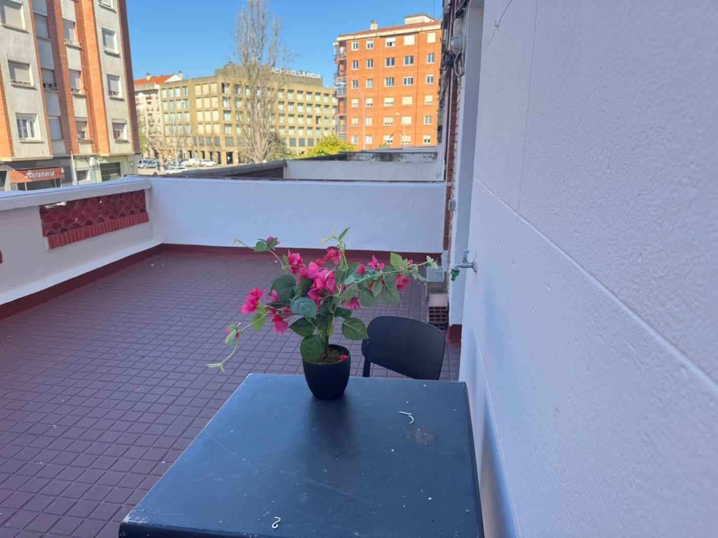 Una terraza en la azotea con una maceta, una mesa y una silla.