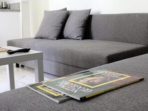 Un sofà gris amb dos coixins, una taula auxiliar blanca amb un comandament a distància, i una revista a terra.