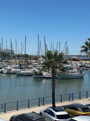 Eine Marina mit vertäuten Booten, eine Palme und ein klarer, blauer Himmel.