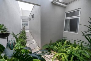 Un étroit sentier bordé de plantes en pot et une fenêtre sur la droite.