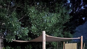 A rustic outdoor seating area with wooden tables and benches, surrounded by greenery and a shaded canopy. - Potrerillos Our Roots C4 (Las Vegas)