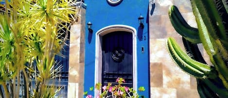 Detalle exterior