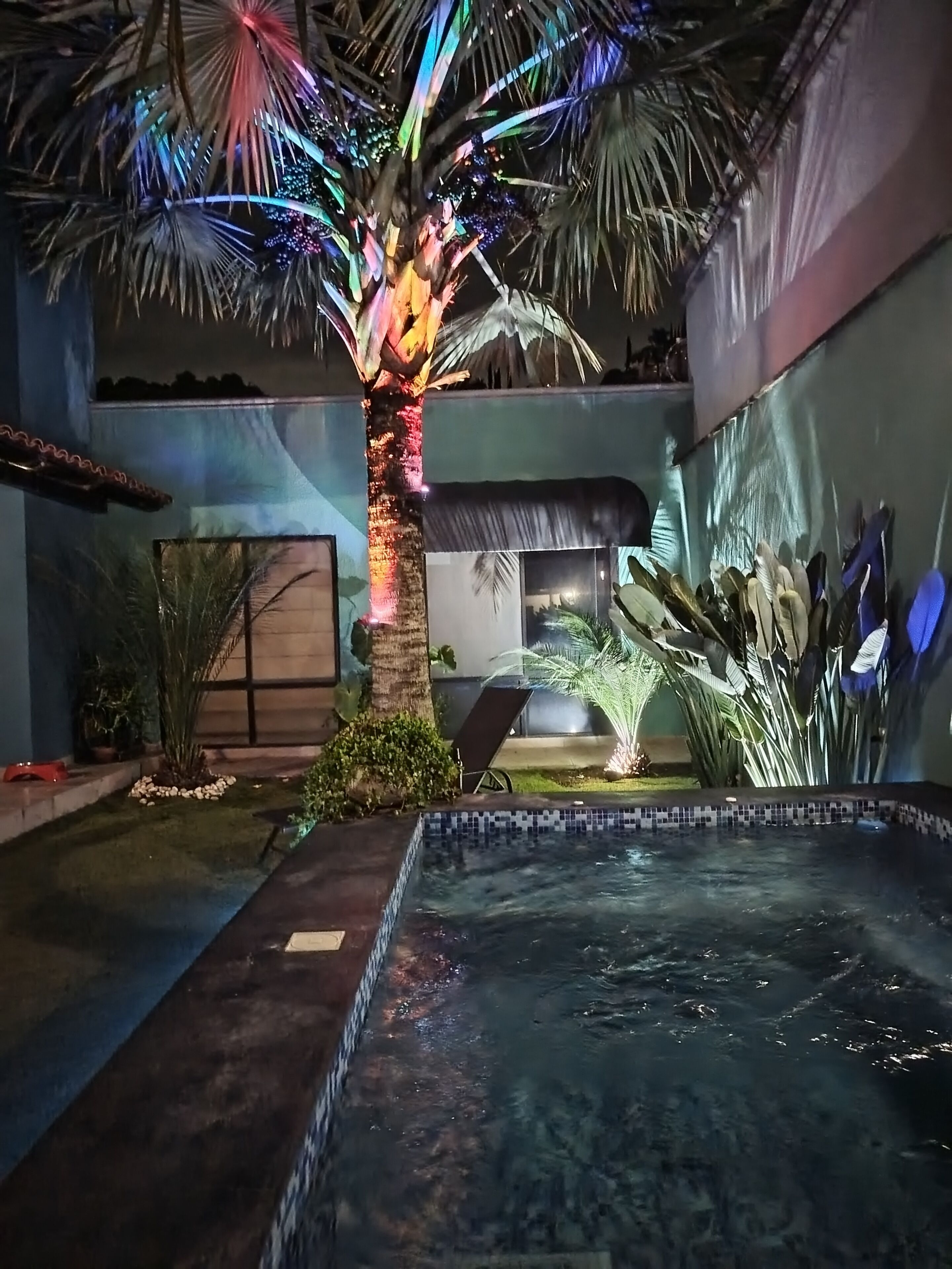 A swimming pool area with a palm tree and a chair, surrounded by plants and a building.
