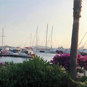 A marina with various boats docked, a palm tree, and some greenery.