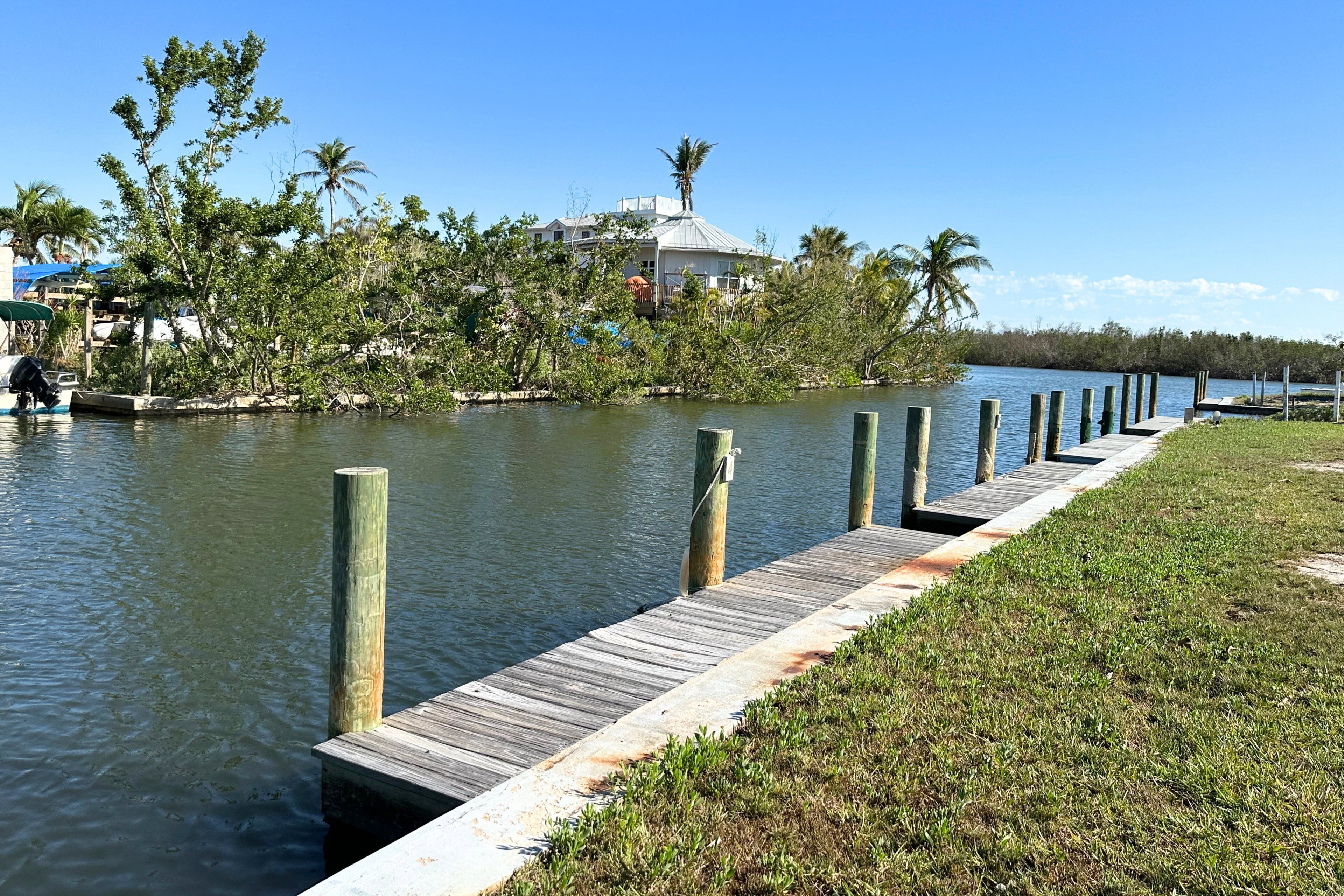 A wooden dock extending into calm water, surrounded by greenery and a house with a white roof.