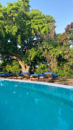 A pool with lounge chairs and a large tree. - Shiri Beach Resort  Fumba Zanzibar (Fumba)