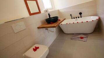 Hair dryer, towels, soap, toilet paper