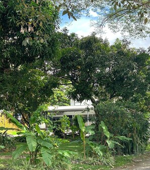 Zona residencial con abundante follaje, una casa y una cerca.