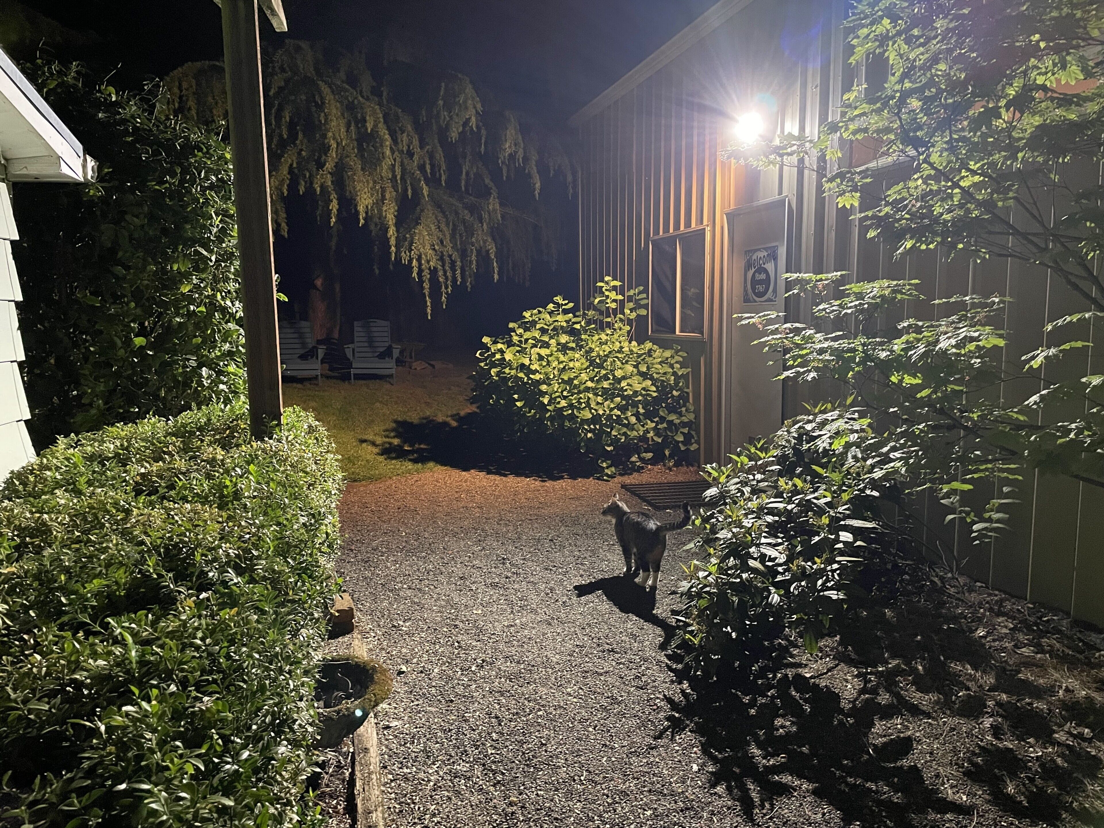 Terrein van de accommodatie