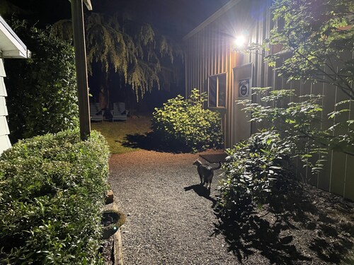 Quiet, pet friendly country studio in quaint Albany just minutes from town