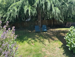 A backyard with a wooden fence, two blue chairs, and a tree with hanging branches.