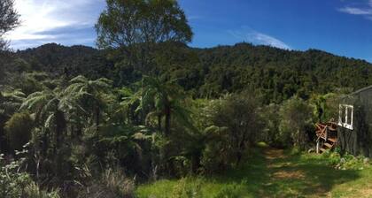 Wholly Offgrid Cosy Cabins. Low EMF. No Wifi, Walks to Waterfalls instead.
