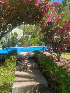 Une piscine bordée d’un chemin en béton, entourée d’une végétation luxuriante et de fleurs roses.