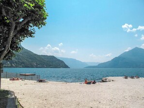 Una playa con vista despejada a un lago, montañas al fondo y un árbol a la izquierda.