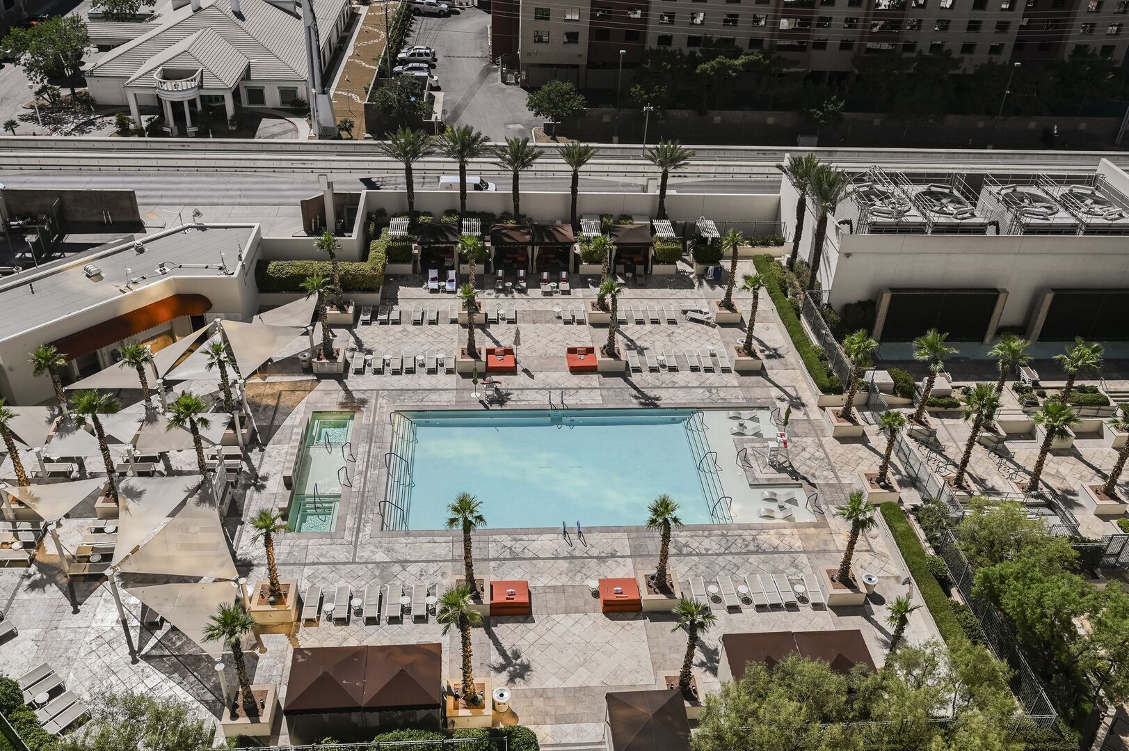 A rooftop pool area with multiple lounge chairs and palm trees.