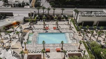 A rooftop pool area with multiple lounge chairs and palm trees.