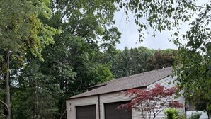 Garagem residencial com calçada de concreto, cercada por árvores e um gramado bem cuidado.