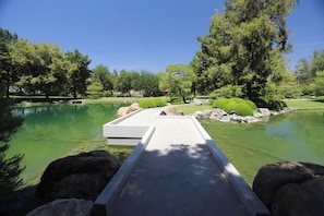 Un espace extĂ©rieur paisible, avec un chemin en bĂ©ton menant Ă un Ă©tang, entourĂ© dâarbres et de rochers.