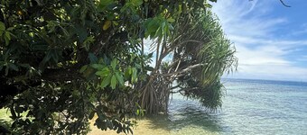 Vahine Ori Lodge - Private Beach