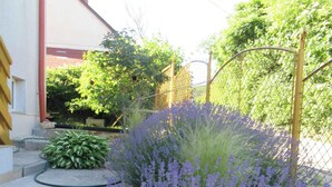 Um jardim com plantas de lavanda, cerca de madeira e uma casa com porta vermelha.