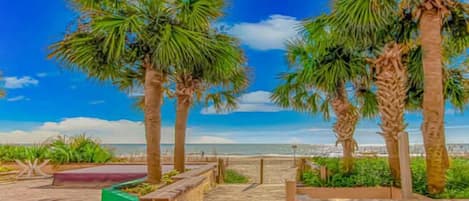 Playa en los alrededores