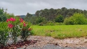 A rural landscape with a field, trees, and a gravel path. - In a very residential setting close to nature, on the outskirts of the village of La Gacilly (La Gacilly)