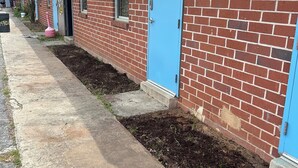 Una hilera de edificios de ladrillo con puertas azules, una acera de hormigón y un pequeño jardín.