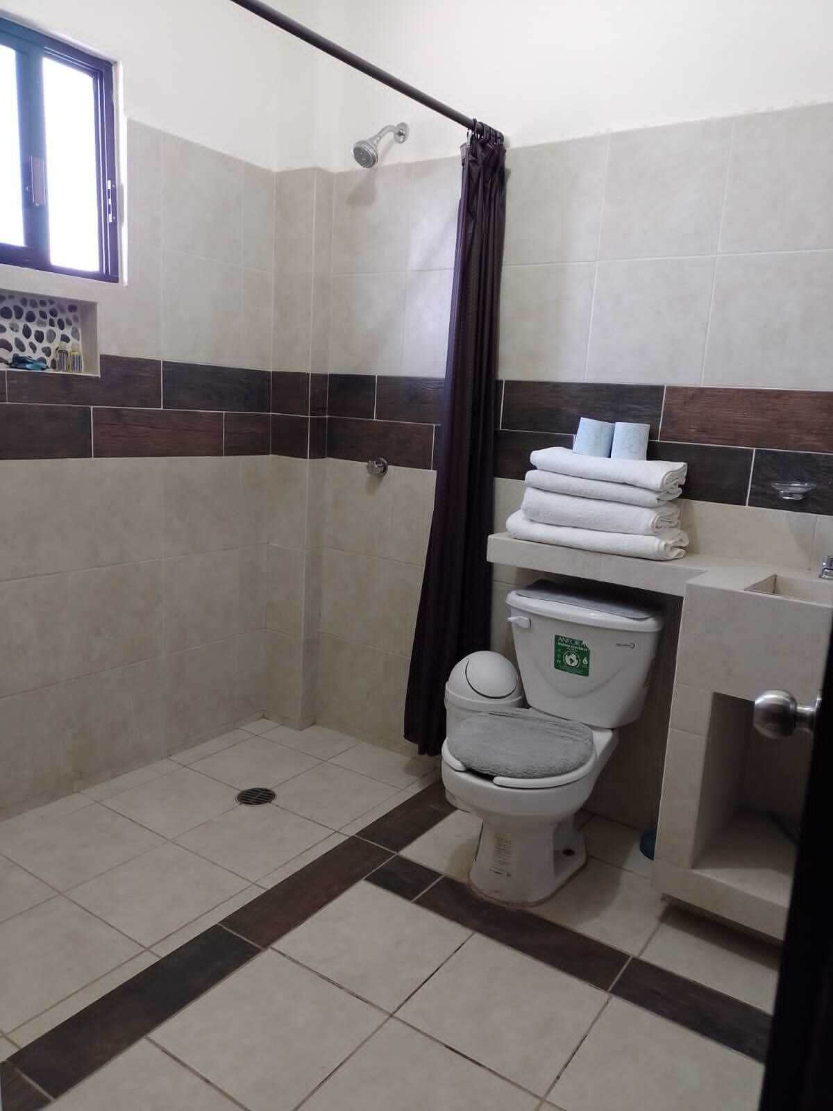 Une salle de bain avec douche, toilettes et lavabo.