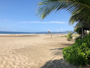 A beach with a palm tree, a wooden structure, and a view of the ocean.